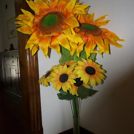 فندق مبيت وإفطار Patrizio 3*