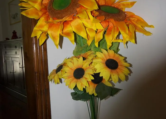 Alojamento de Acomodação e Pequeno-almoço Patrizio 3*